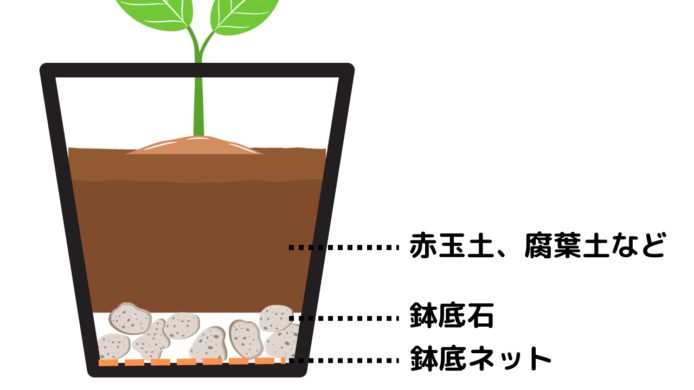 鉢に入れる順番